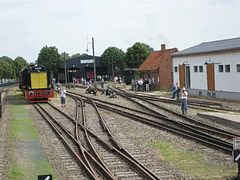 IMG_0115 (Medium)